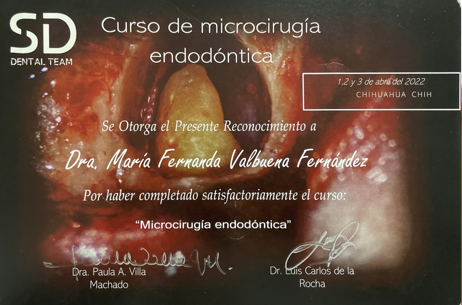 Curso Microcirugía Endodóntica